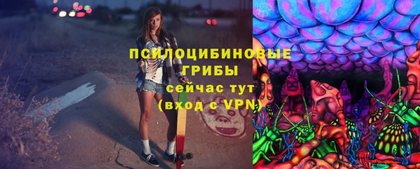 прущие крисы Абаза