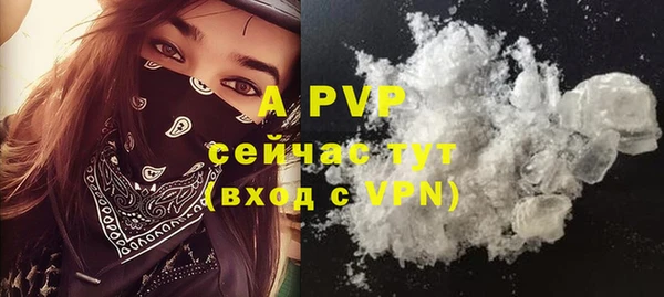 прущие крисы Абаза