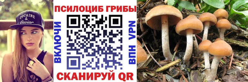Галлюциногенные грибы Cubensis  цена   Калининград 